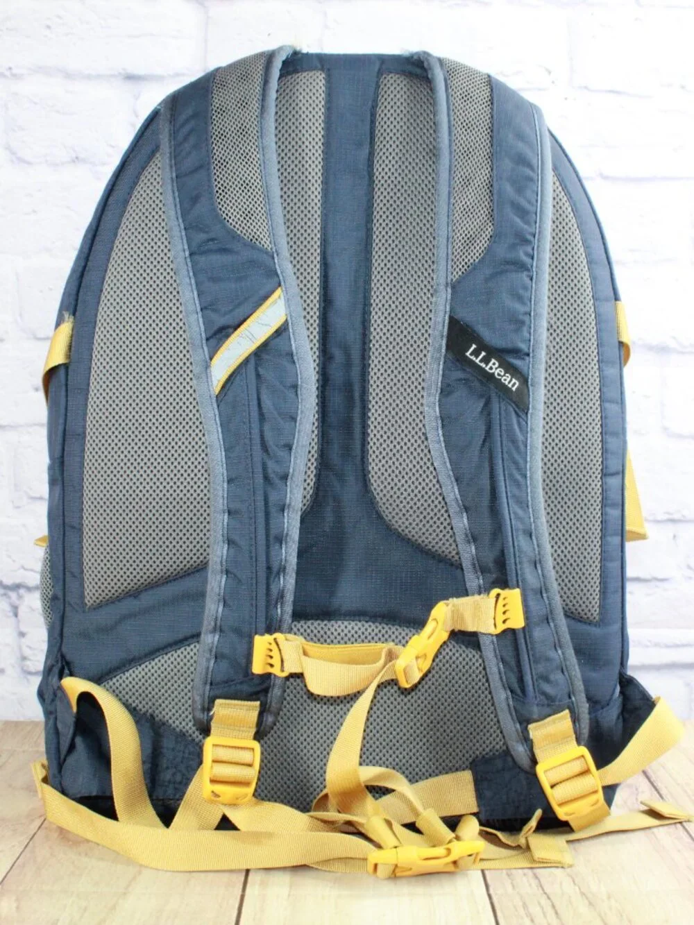 READ–LL Bean Unisex Adult Comfort Carry Portable Locker Pack 42L Backpack Hiking